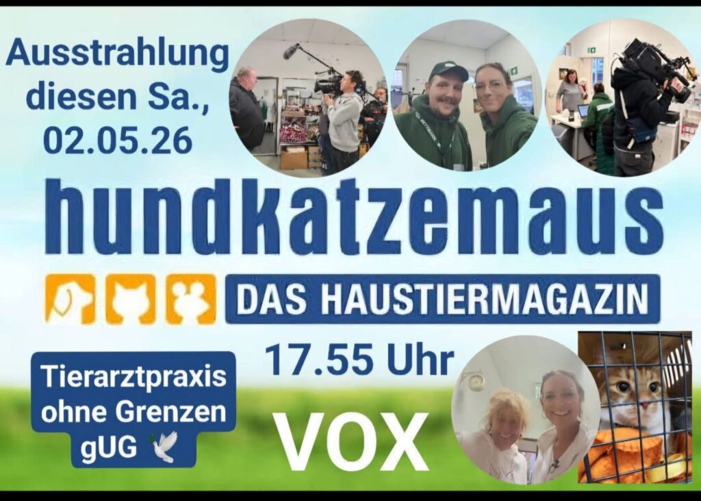 hundkatzemaus Sendung